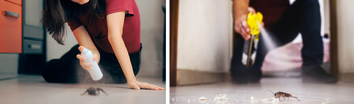 살충제-에어로졸