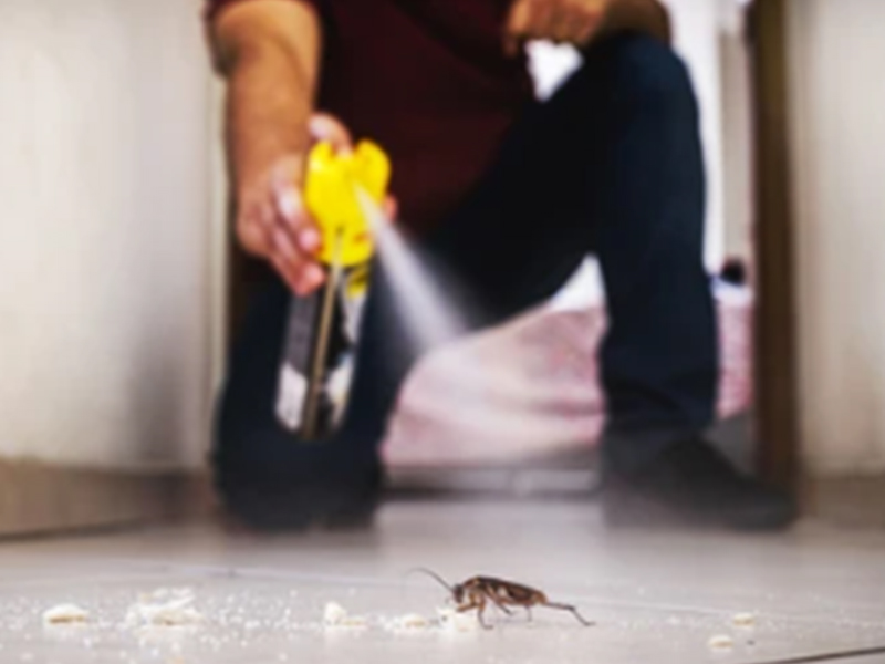 살충제 생산, 충진 기계 및 솔루션